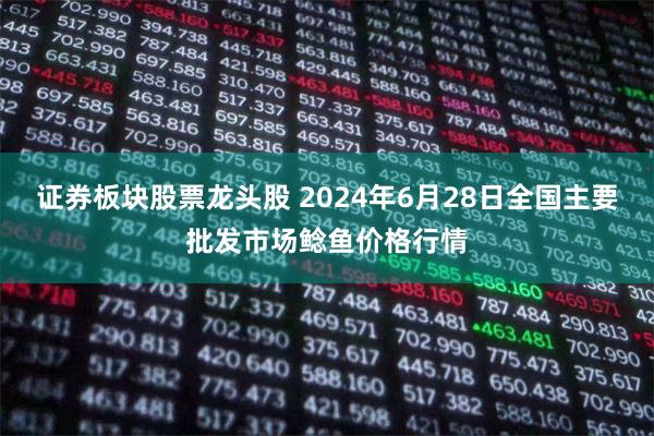 证券板块股票龙头股 2024年6月28日全国主要批发市场鲶鱼价格行情