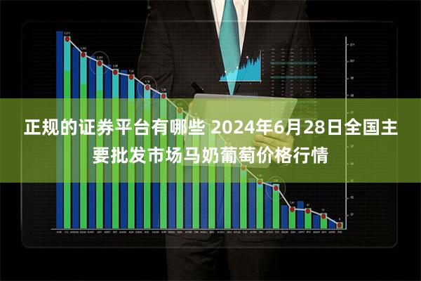 正规的证券平台有哪些 2024年6月28日全国主要批发市