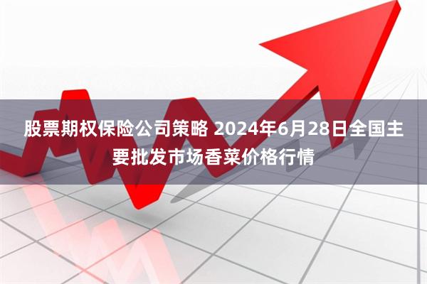 股票期权保险公司策略 2024年6月28日全国主要批发市