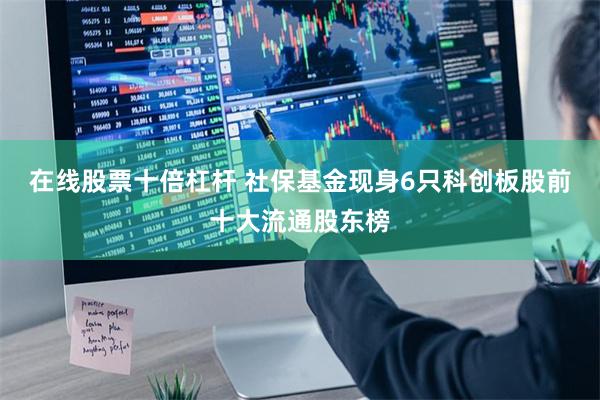 在线股票十倍杠杆 社保基金现身6只科创板股前十大流通股东榜