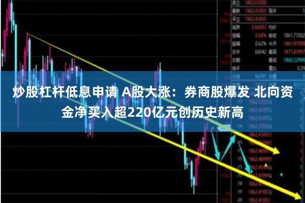 炒股杠杆低息申请 A股大涨：券商股爆发 北向资金净买入超220亿元创历史新高