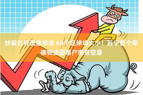 炒股杠杆低息申请 60个足球场大小！苏宁首个零碳物流园落户南